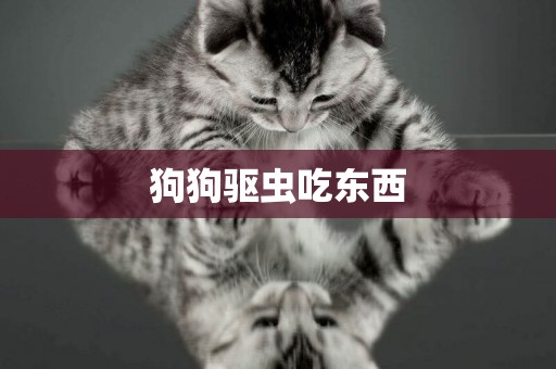 狗狗驅蟲吃東西