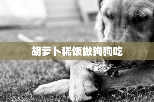 胡蘿卜稀飯做狗狗吃