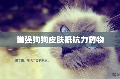 增強狗狗皮膚抵抗力藥物
