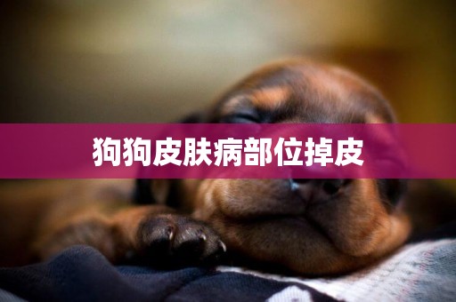 狗狗皮膚病部位掉皮