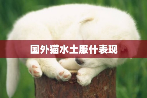 國外貓水土服什表現