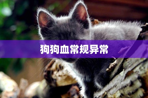 狗狗血常規異常