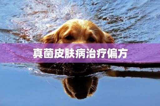 真菌皮膚病治療偏方