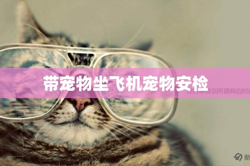 帶寵物坐飛機寵物安檢
