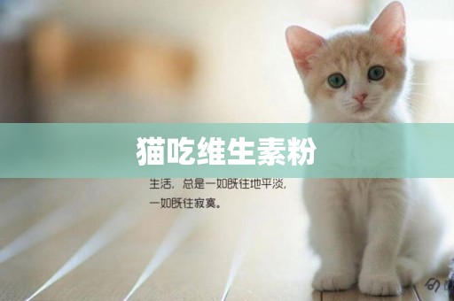 貓吃維生素粉