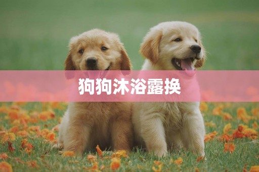 狗狗沐浴露換