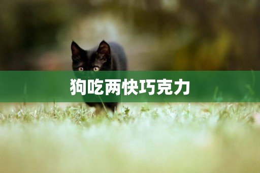 狗吃兩快巧克力