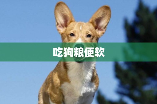 吃狗糧便軟