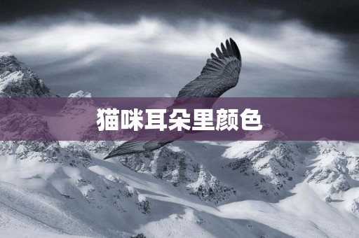 貓咪耳朵里顏色