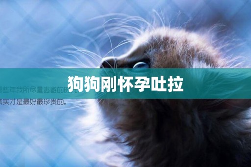 狗狗剛懷孕吐拉