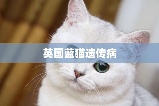 英國藍貓遺傳病