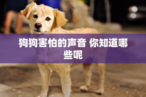 狗狗害怕的聲音 你知道哪些呢