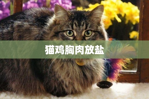 貓雞胸肉放鹽
