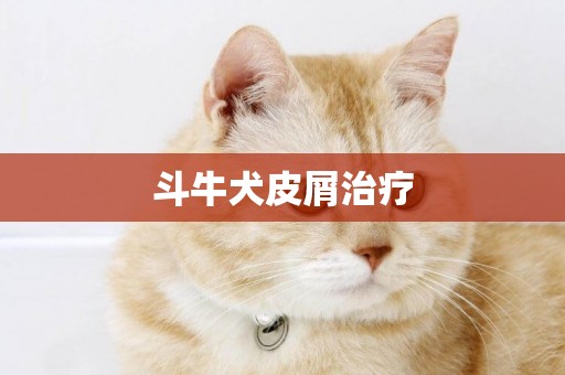 斗牛犬皮屑治療