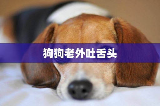 狗狗老外吐舌頭