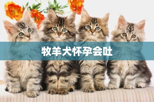 牧羊犬懷孕會吐