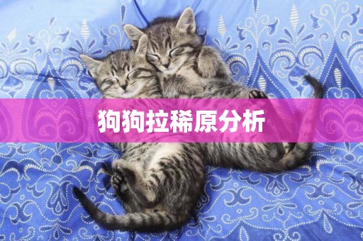 狗狗拉稀原分析