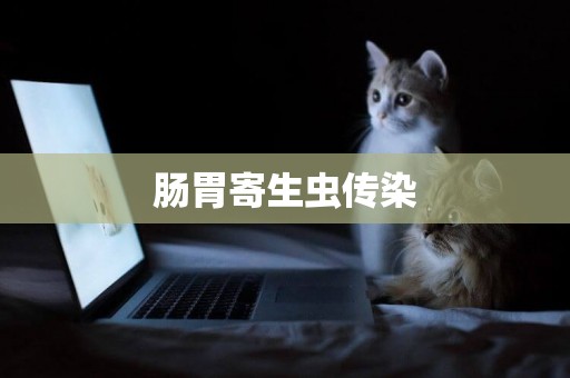 腸胃寄生蟲傳染