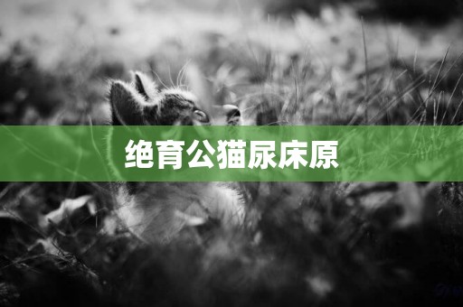 絕育公貓尿床原