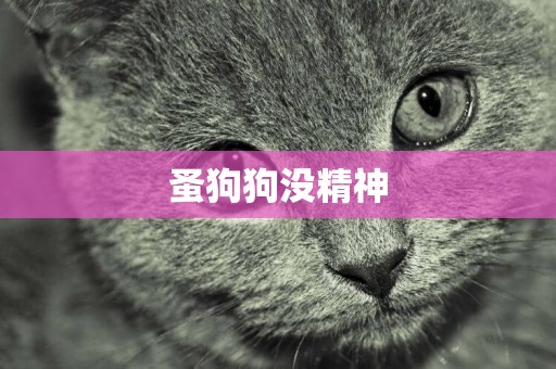 蚤狗狗沒精神