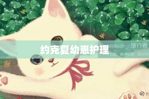約克夏幼崽護理