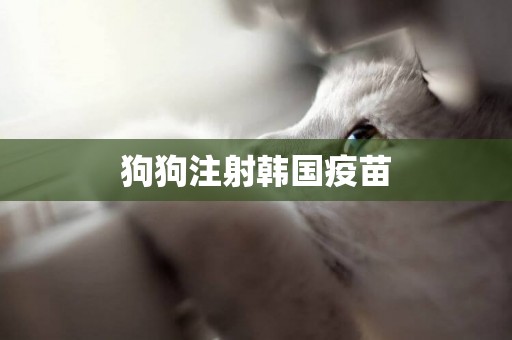 狗狗注射韓國疫苗