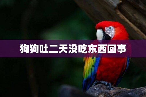 狗狗吐二天沒吃東西回事