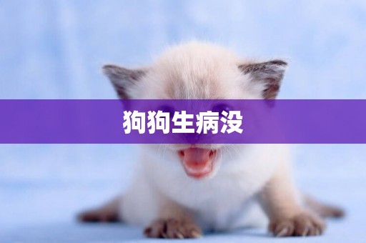 狗狗生病沒