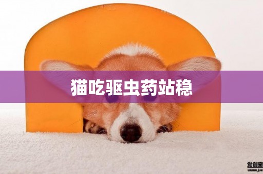 貓吃驅蟲藥站穩