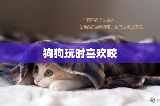 狗狗玩時喜歡咬