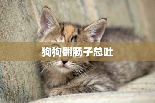 狗狗翻腸子總吐