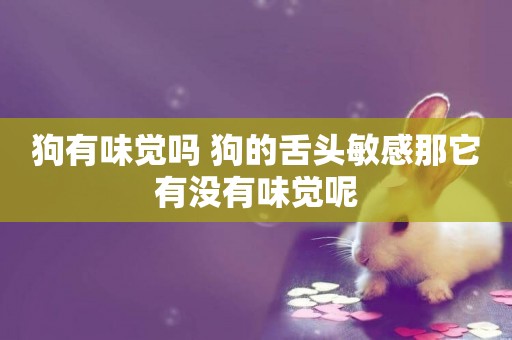 狗有味覺嗎 狗的舌頭敏感那它有沒有味覺呢