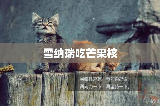 雪納瑞吃芒果核