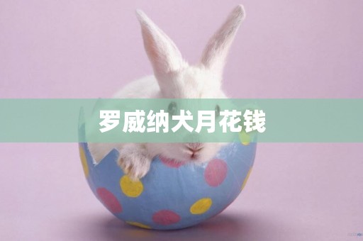 羅威納犬月花錢