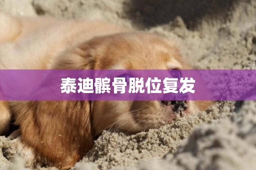 泰迪髕骨脫位復發