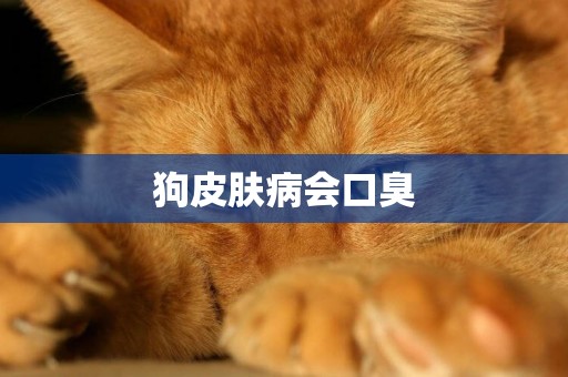 狗皮膚病會口臭