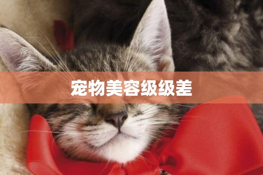 寵物美容級級差