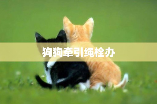 狗狗牽引繩栓辦