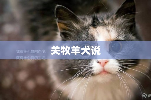 關牧羊犬說
