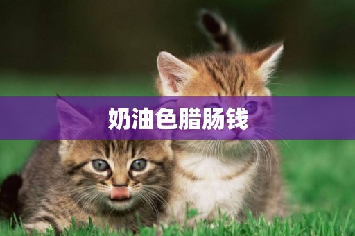 奶油色臘腸錢