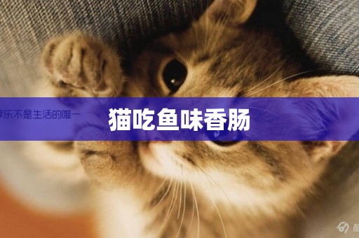 貓吃魚味香腸
