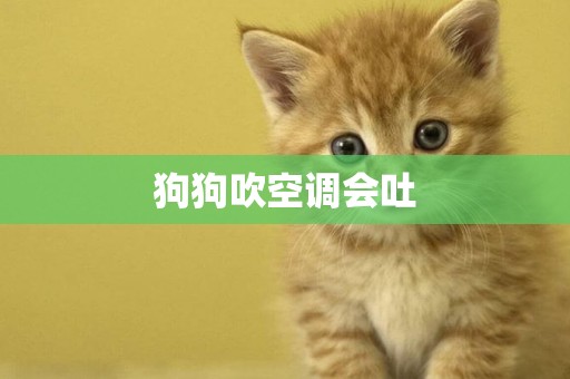 狗狗吹空調會吐