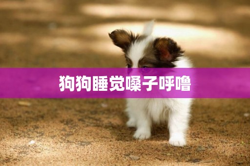 狗狗睡覺嗓子呼嚕