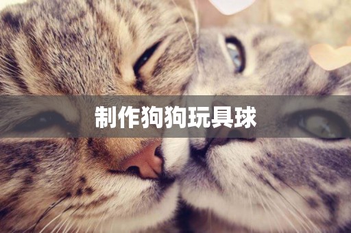 制作狗狗玩具球