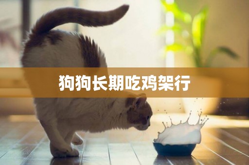 狗狗長期吃雞架行