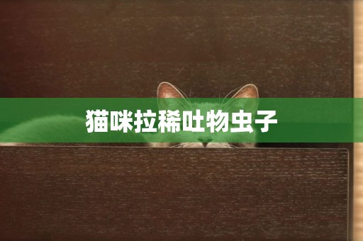 貓咪拉稀吐物蟲子