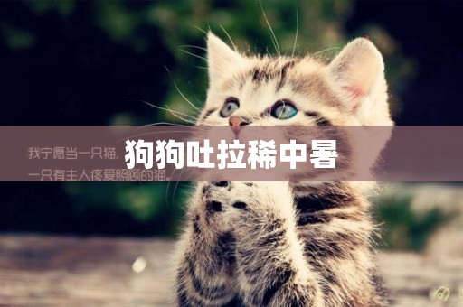 狗狗吐拉稀中暑