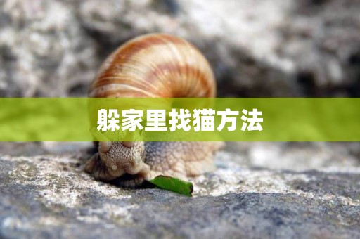 躲家里找貓方法