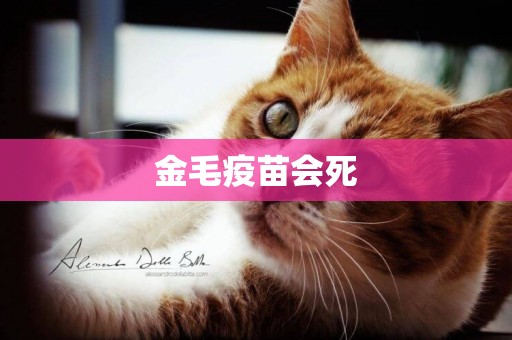 金毛疫苗會死