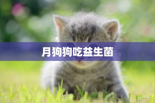 月狗狗吃益生菌